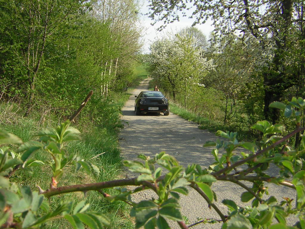 DSCN3625.JPG